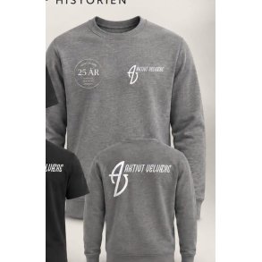JUBIL�UMS SWEATSHIRT Craft COMMUNITY 2.0 M